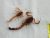 Hottentotta conspersus_3